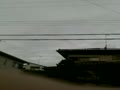 動画:wildineighbor2